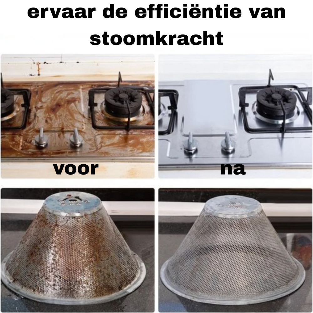 Professionele handstoomreiniger